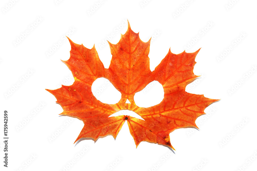 Fototapeta premium Face on a maple leaf. The symbol of Halloween.