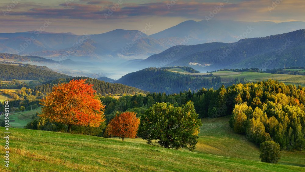 Fall in Slovakia. Meadows and fields landscape. Autumn color cherry trees. Fall in Slovakia. Meadows and fields landscape. Autumn color cherry trees.
