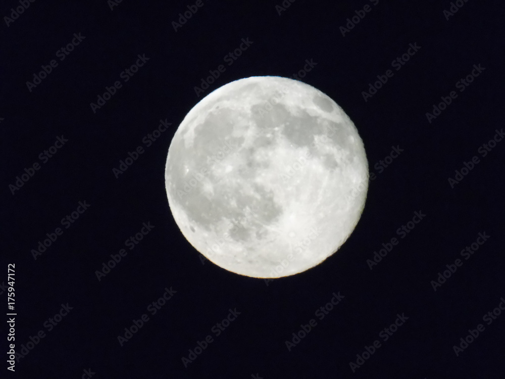 Fototapeta premium The moon in the night sky