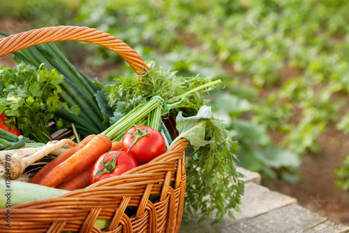Various vegetables in wicker basket