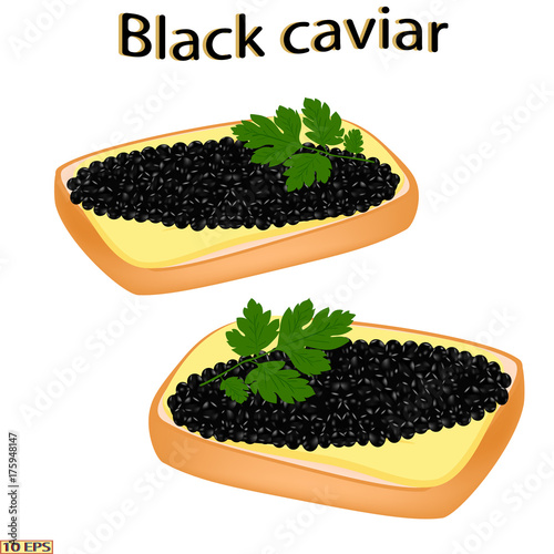Black caviar. Sandwich with sturgeon caviar isolated on white background.  Vector illustration.