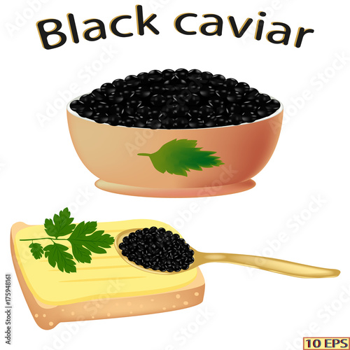 Black caviar. Bowl with sturgeon caviar isolated on white background.  Vector illustration.