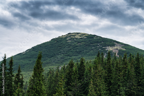 Ukraine Carpathian Mountain Chomiak