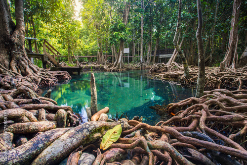 krabi,thailand