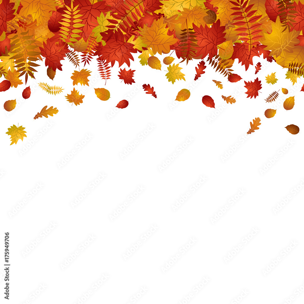 Falling leaves autumn background