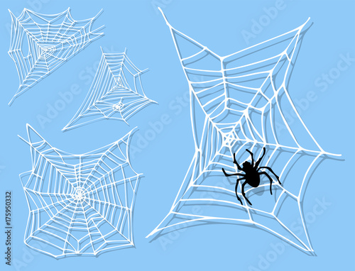 Spider web silhouette arachnid fear graphic flat scary animal design nature insect danger horror halloween vector icon.