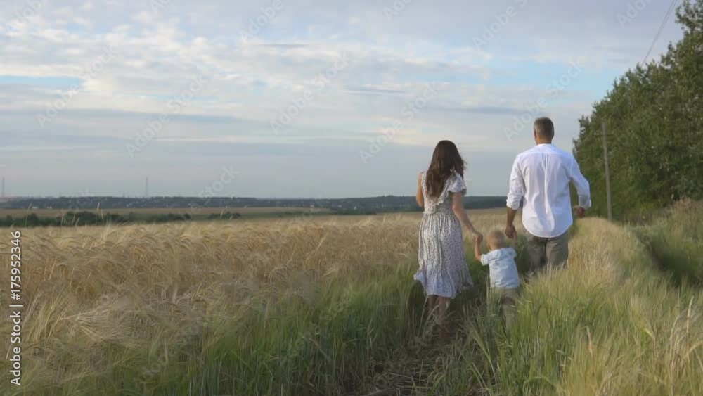Mother, father and little son leisures together outdoor. Happy family walking on summer meadow Mother, father and little son leisures together outdoor. Happy family walking on summer meadow