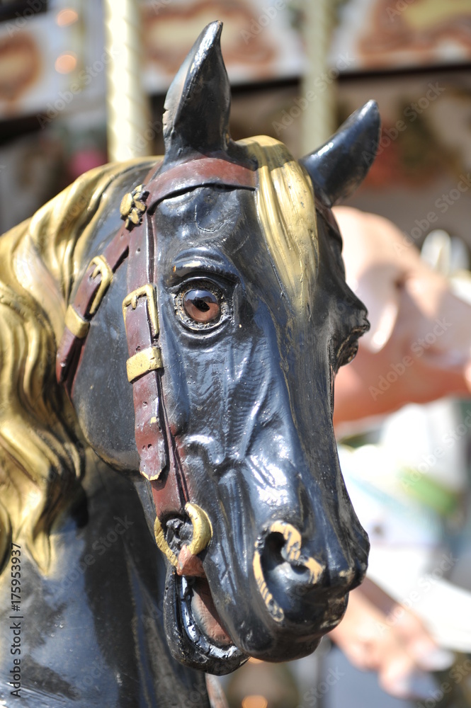 Obraz premium cheval de bois