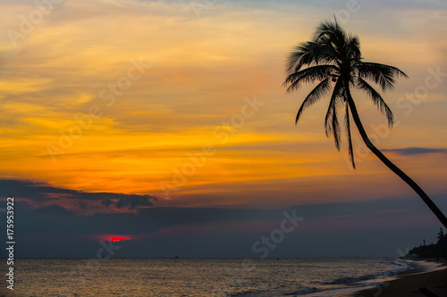 Sunset on Sanya beach  China. Red sun hides in clouds over the South China Sea  against the backdrop of a silhouette of a palm tree.