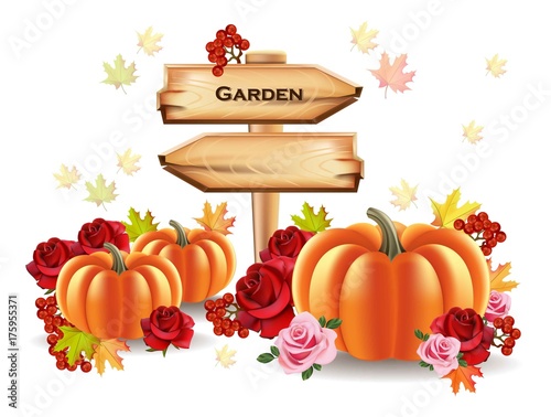 Pumpkins autumn harvest with wooden sign. Place for text. Vector realistic Fa...