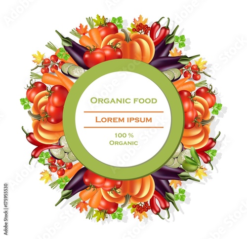 Vegetables autumn harvest round wreath Vector. Realistic pumpkin, eggplant an...