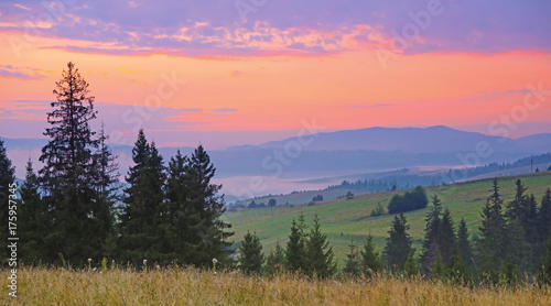 Scenic view of sunrise in the mountains at Carpathian, Ukraine. Wide format landscape of mountain which including of copy-space for text. © Iryna Nazarova