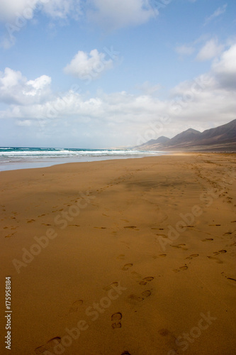 beautiful cofete sandy beach fuerteventura