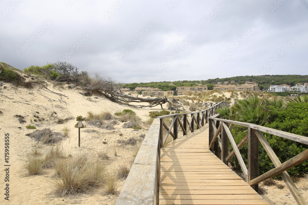 Dünenlandschaft im Naturschutzgebiet, Cala Mesquida, Capdepera, Insel Mallorca, Spanien, Europa
