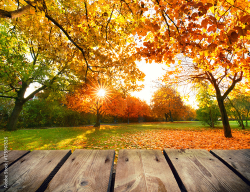 leerer Holztisch im Park im Herbst photo