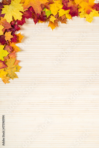 Autumn leaves on a wooden background. Space for inscription.