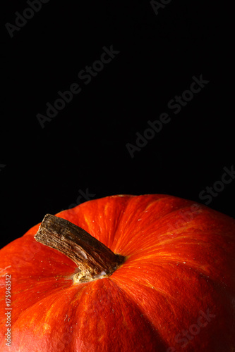 beautiful bright orange pumpkin on a black background. vivid photo of a vegetable photo