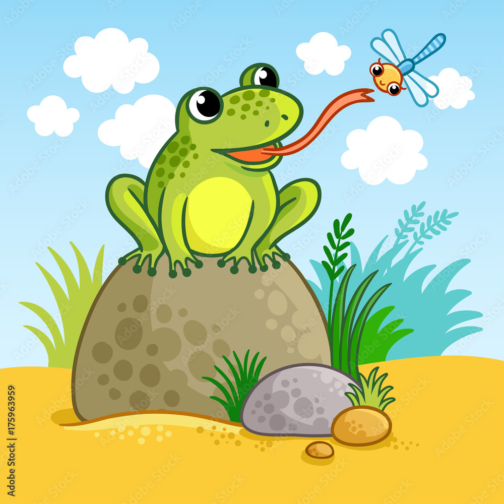 The frog sits on a large rock and catches a dragonfly. Cute vector illustration of a cartoon style.