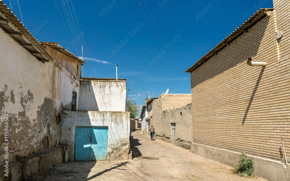 Traditional houses in the old town of Bukhara, Uzbekistan