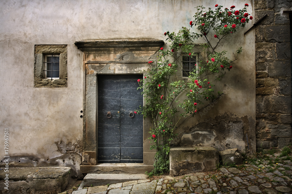 Ταπετσαρία Cortona Wall with Door and roses