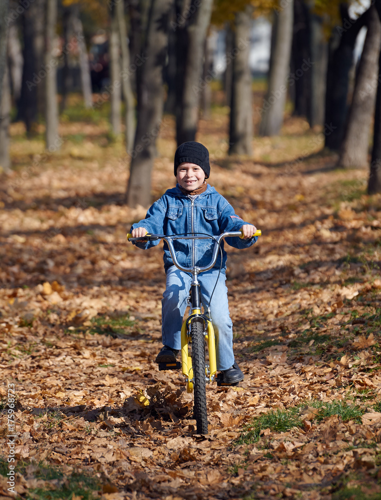boy riding on Bicycle in autumn Park, bright sunny day, fallen leaves on background boy riding on Bicycle in autumn Park, bright sunny day, fallen leaves on background