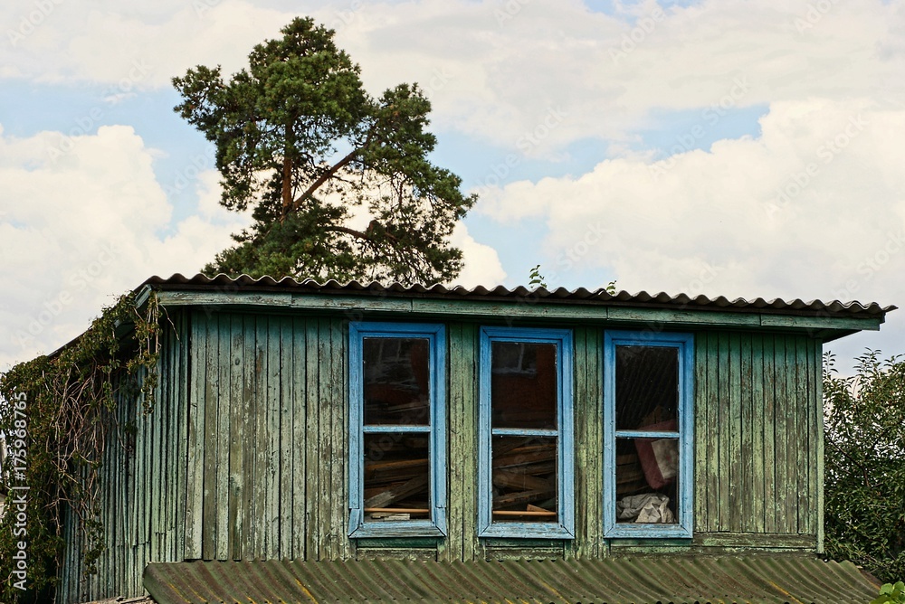 деревянный чердак из досок с окнами на фоне неба и высокой сосны