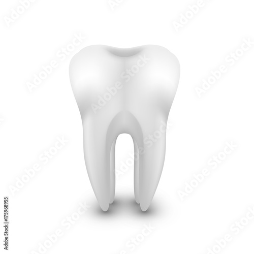 White Tooth