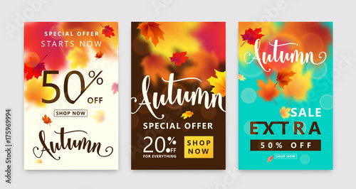 Colorful autumn poster set. Fall sale background with bright maple leaves