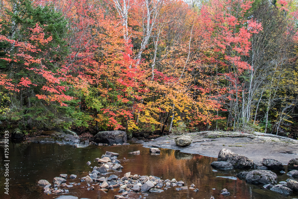 Obraz premium rocky waterfall in autumn