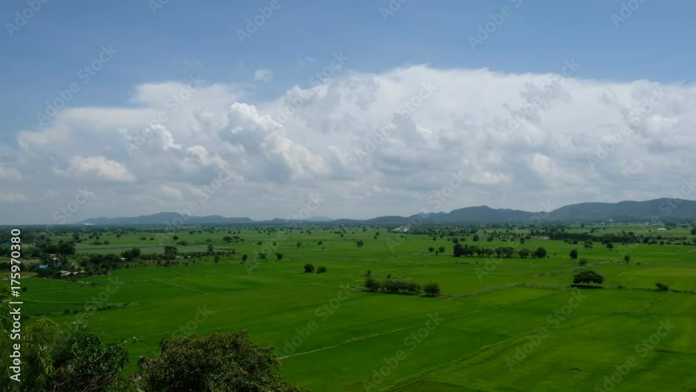 aerial view large green rice field and road across with mountain and cloud background aerial view large green rice field and road across with mountain and cloud background