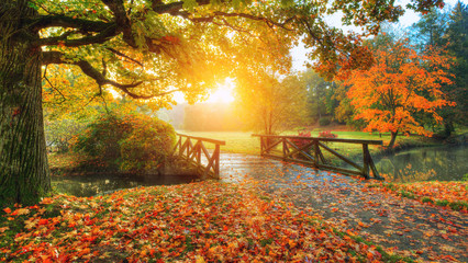 Acrylglasbilder Orange Beautiful autumn scenery in park.  © Jag_cz