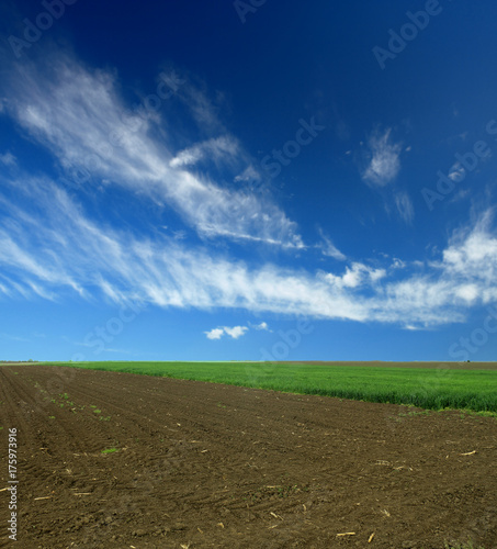 arable land and clouds