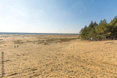 View on the Bledowska Desert from Chechlo in Poland