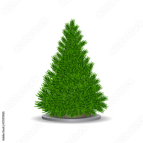  Vector christmas tree without holiday decoration for greeting card, poster