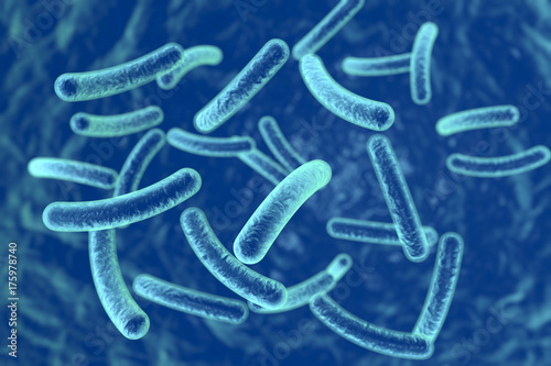Bacteria on blue background, 3D illustration photo