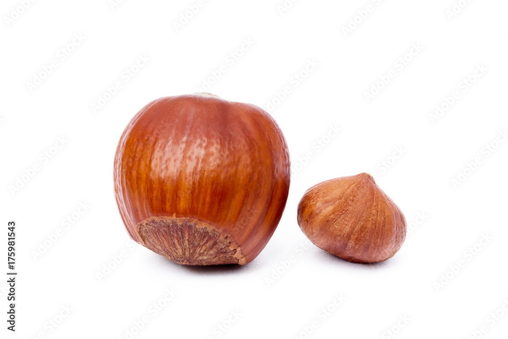 Group healty hazelnuts isolated on white background Group healty hazelnuts isolated on white background