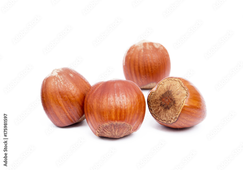 Group healty hazelnuts isolated on white background Group healty hazelnuts isolated on white background