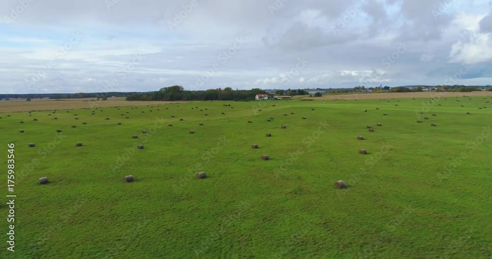 Aerial view of amazing summer landscape. Fields and meadows with baley rolls from above. Aerial view of amazing summer landscape. Fields and meadows with baley rolls from above.