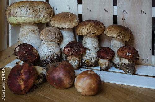 funghi porcini in cassetta di legno