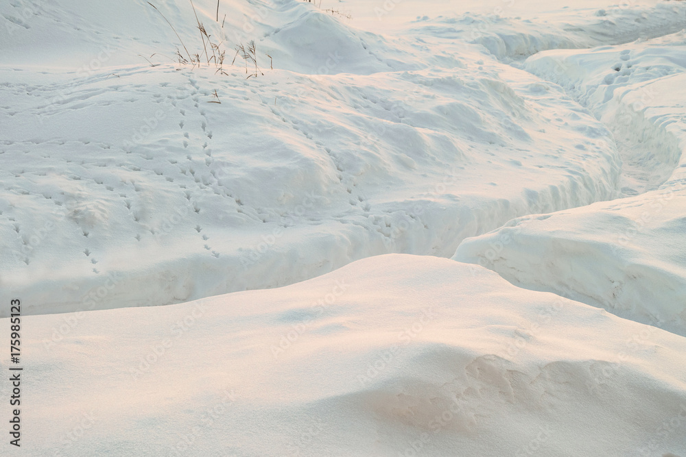 Fototapeta premium Cleared snowy footpath after heavy snowstorm. Traces of wild steppe birds on the snow. Winter background.
