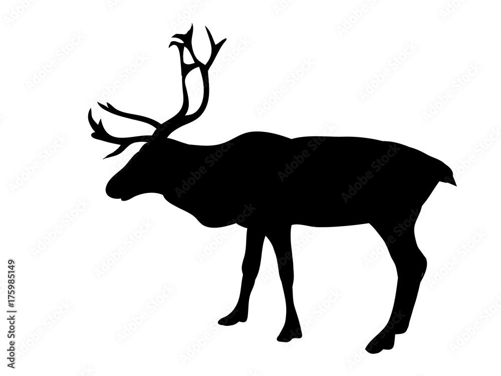 Obraz premium silhouette of a noble deer,