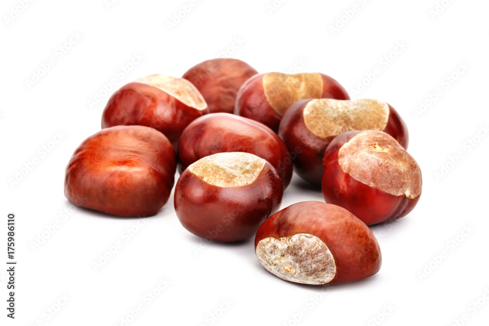 Chestnuts on a white background. An isolated object. Chestnuts on a white background. An isolated object.
