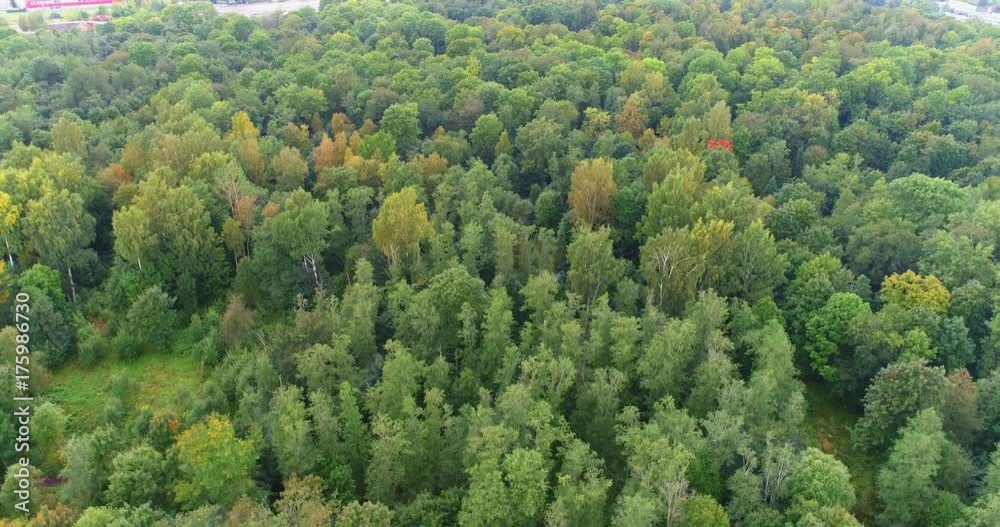 Aerial View. Flying over the beautiful autumn trees in forest. Aerial camera shot. Autumn / Fall landscape. Aerial View. Flying over the beautiful autumn trees in forest. Aerial camera shot. Autumn / Fall landscape.