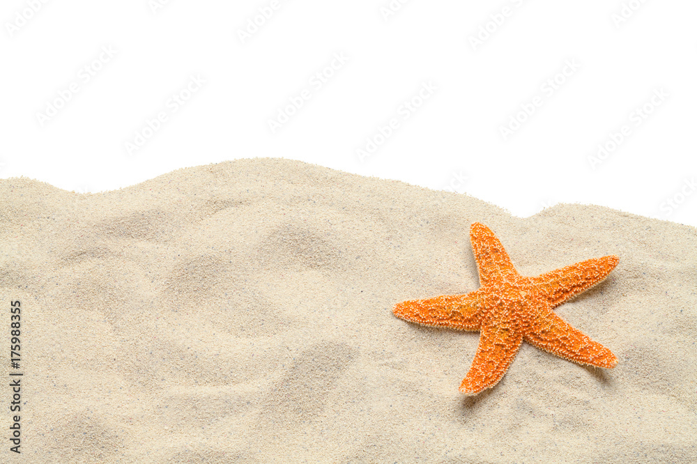 Sand Starfish Copy Space