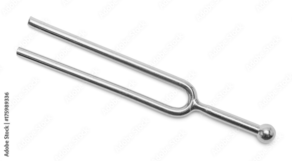 Tuning Fork Flat Tuning Fork Flat