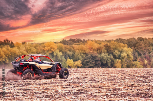 Racing quad bike in field under dramatic sunset sky