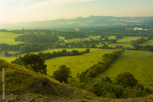 Fototapeta Naklejka Na Ścianę i Meble -  Landscape of countryside. Nature farm with cows and horses. Foggy sunrise.