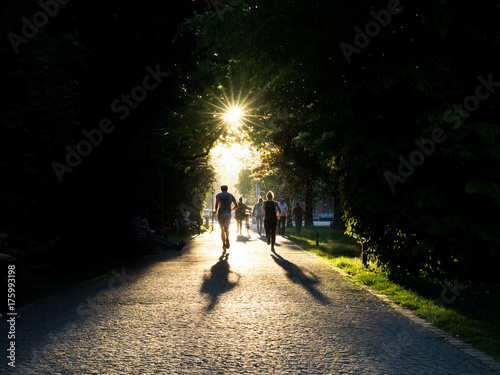 Wallpaper Mural Run into the light Torontodigital.ca