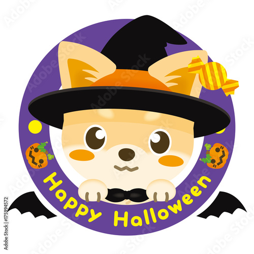 いぬっこ倶楽部　チワワ（クリーム）のハロウィン魔法使いコスチューム