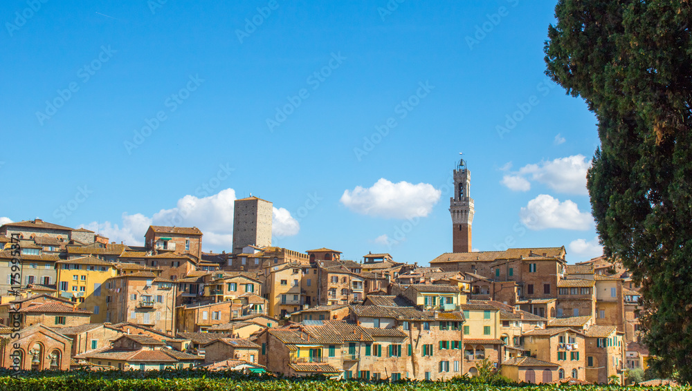 Siena - Toskana - Italien